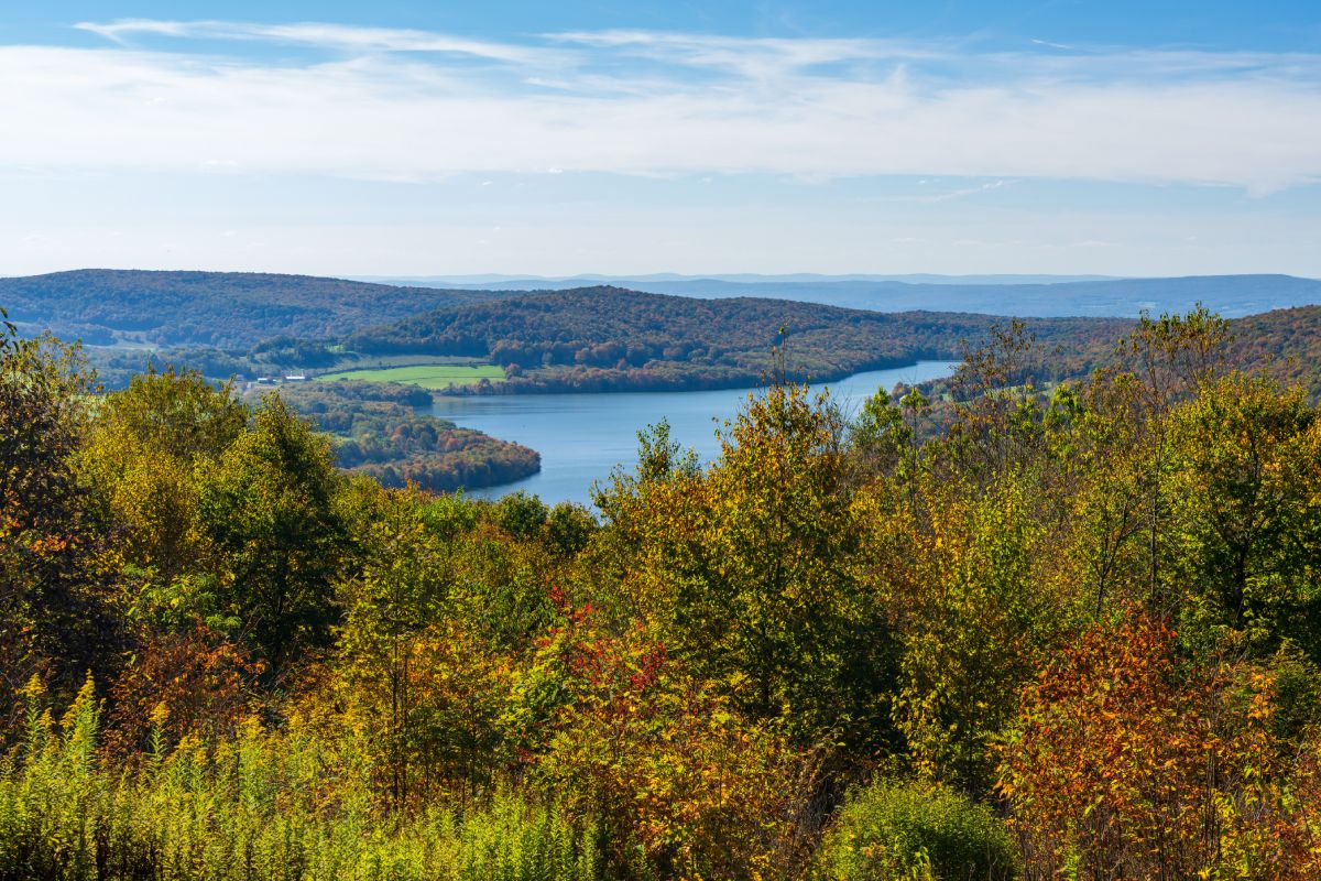 About | Kip Slaugh & Associates, Inc